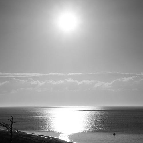 Photo #3150623