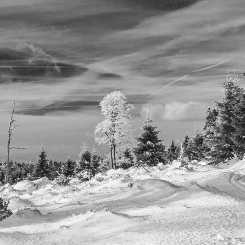 Owl Mountains