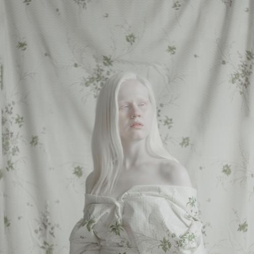 Photo #3151258