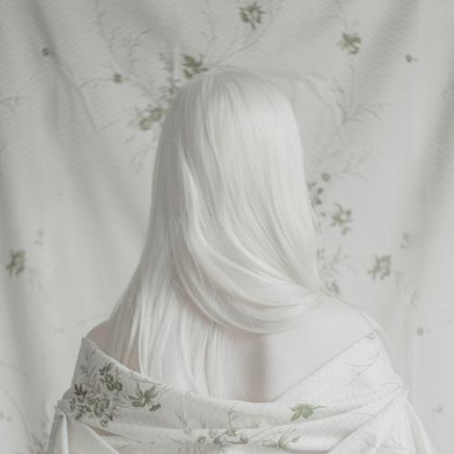 Photo #3151262