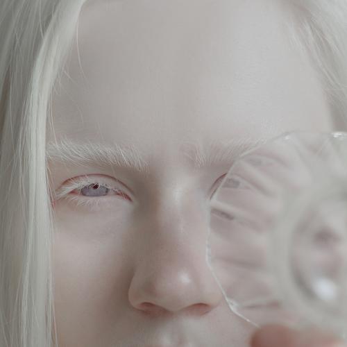 Photo #3151264