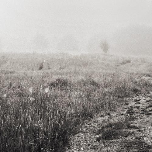 Photo #3152946