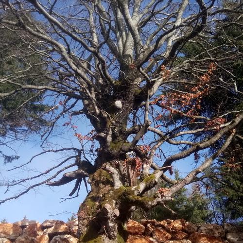 Photo #3153268