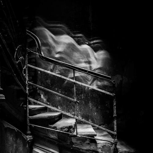 Photo #3153311