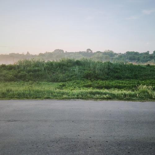 Photo #3154705