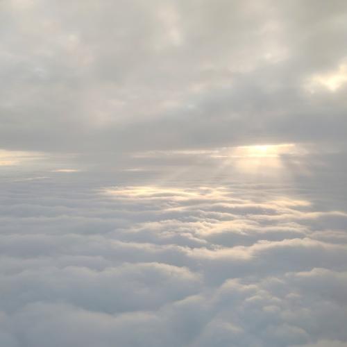 Photo #3156320