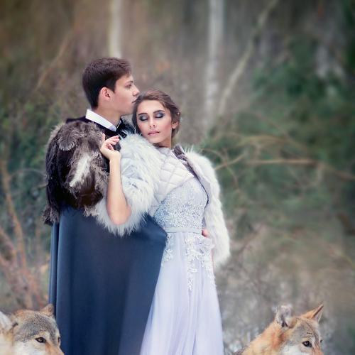 Photo #3156748