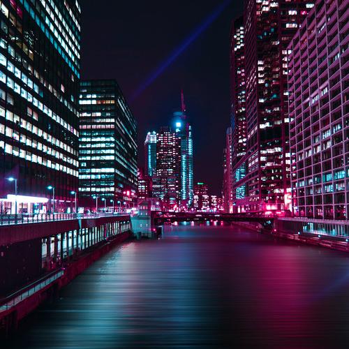 Neon rose night at Chicago