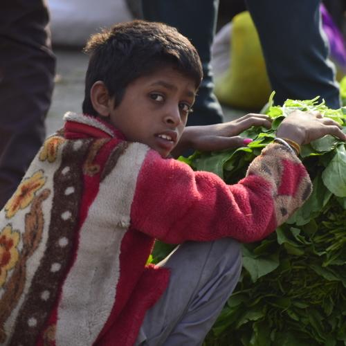 I'm little vegetable grower