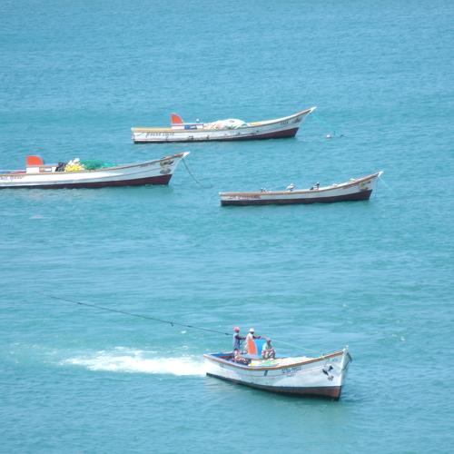 Manzanillo