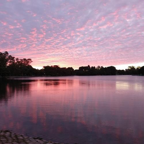Atardecer Jacarandoso