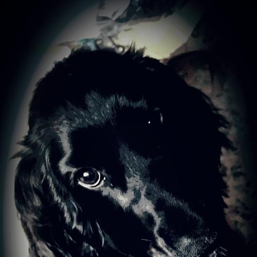My beauty