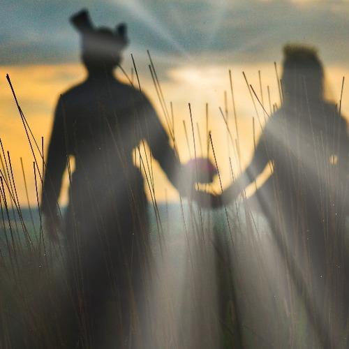 Silhouette wedding