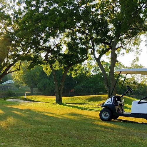 Cart goft