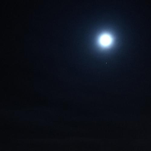 Photo #3164432