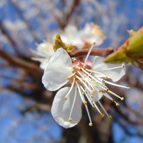 Photo #3165010