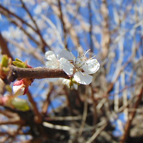 Photo #3165012