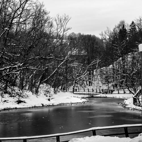 Frozen