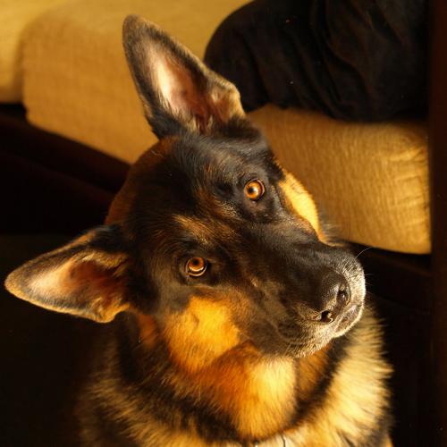 Photo #3165581