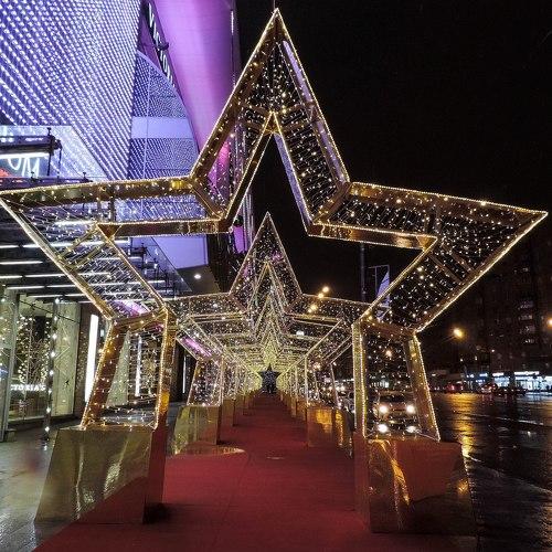 Photo #3166843