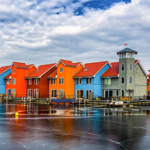 Colors in the Winter