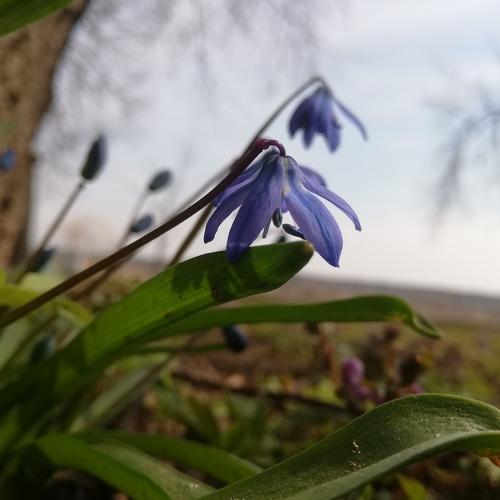 Photo #3167643