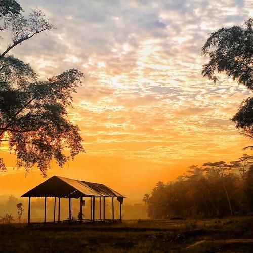 Sunrise on village