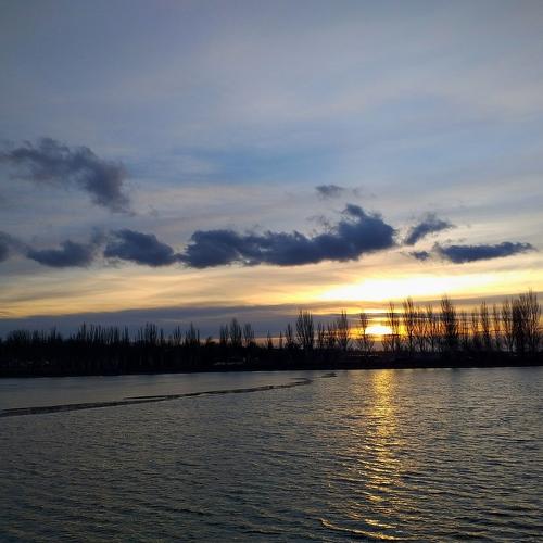 Photo #3168861