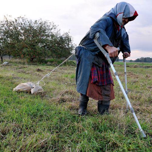 jabłka dla królików