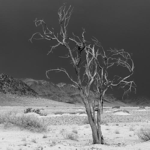 The storm is coming