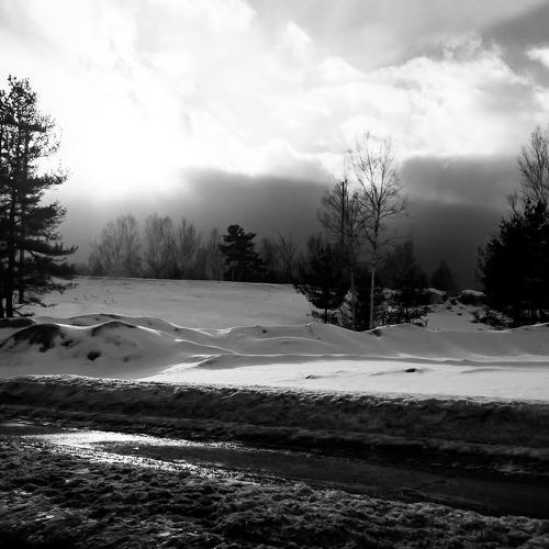 New Hampshire Shines