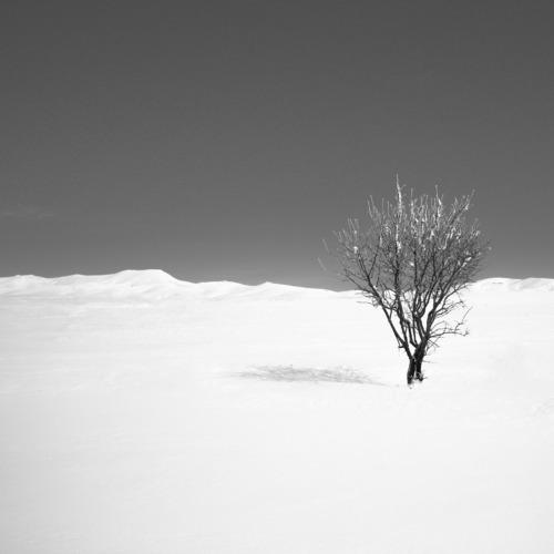 Cold and alone