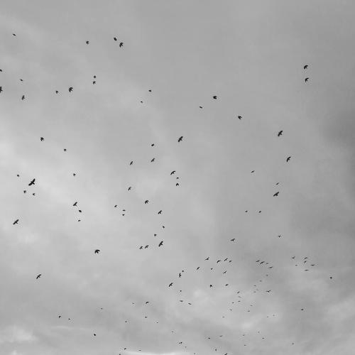Photo #3172063