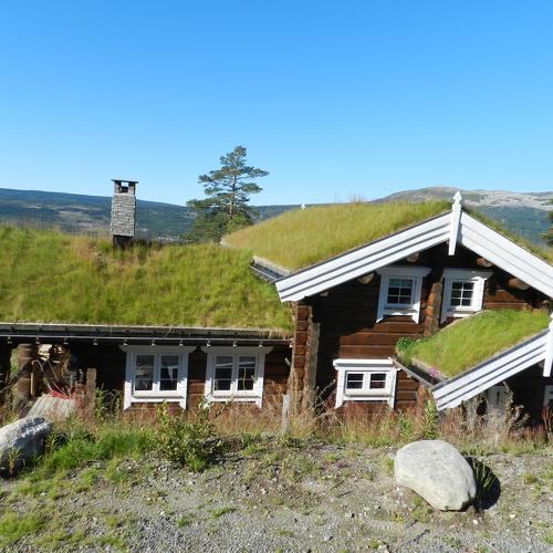 Modern Norwegian Viking House