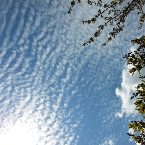Photo #3172819
