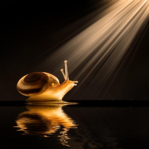 Below Rays