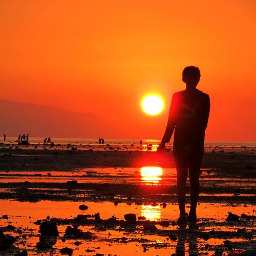 sun setting