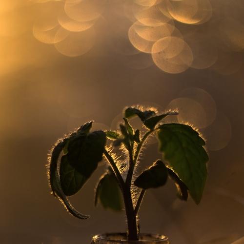 Photo #3174433