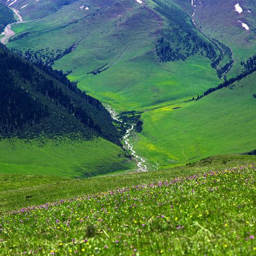 Kzylbulak river. Tien Shan mountains