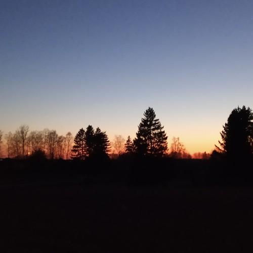 Photo #3175811
