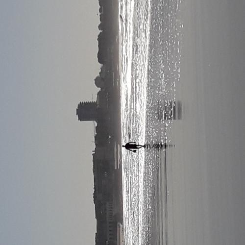 Photo #3177252