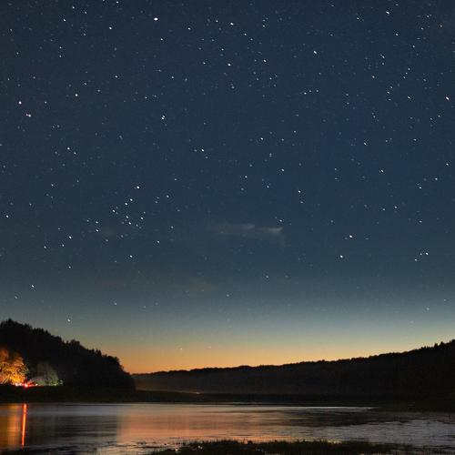 Photo #3178308