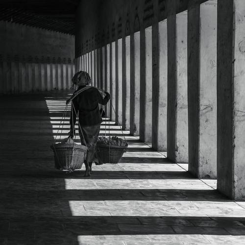 Shadow And Light