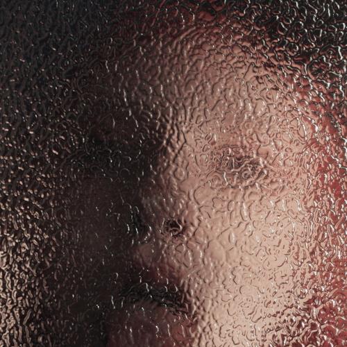Photo #3180784