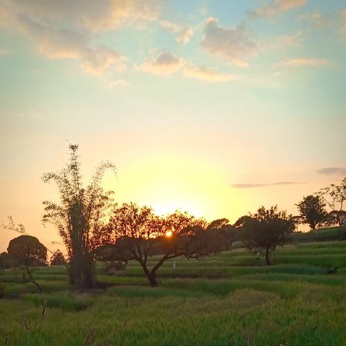 Photo #3180808