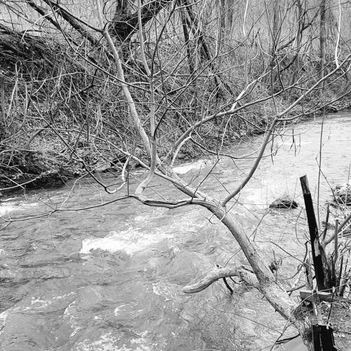 Photo #3181117