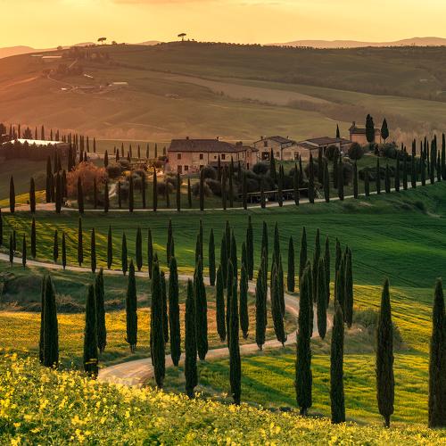 Golden Light of Baccoleno
