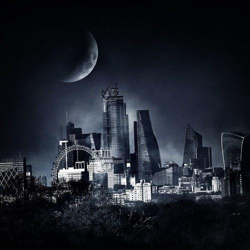 Under the moonlight