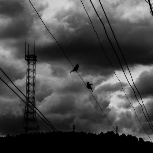 Photo #3184971