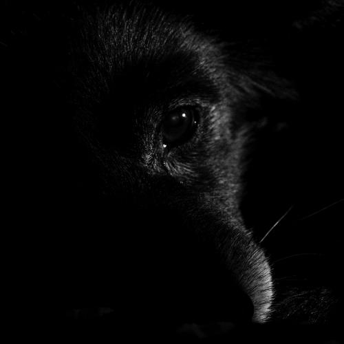Photo #3184975